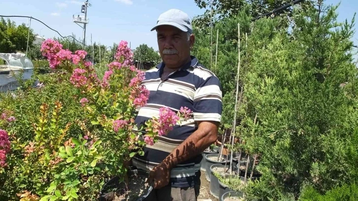 Balıkesir’de işçi emeklisi vatandaş kendini yeşile adadı
