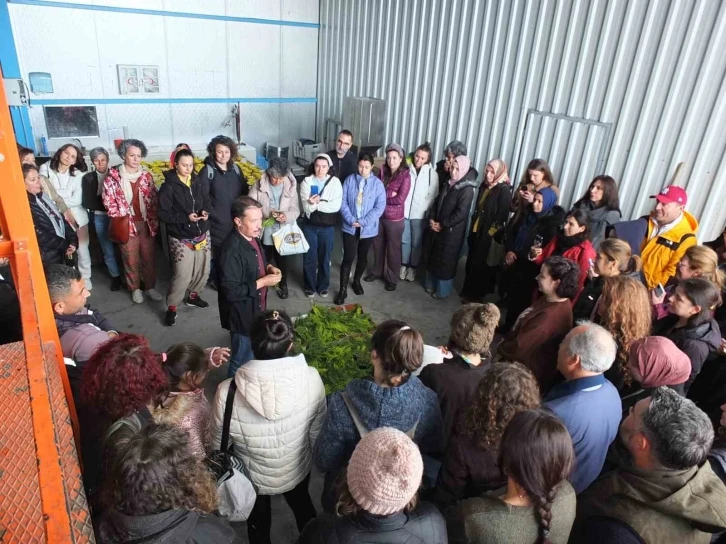 Balıkesir’de tıbbi aromatik bitki yetiştiriciliği kurslarına yoğun ilgi
