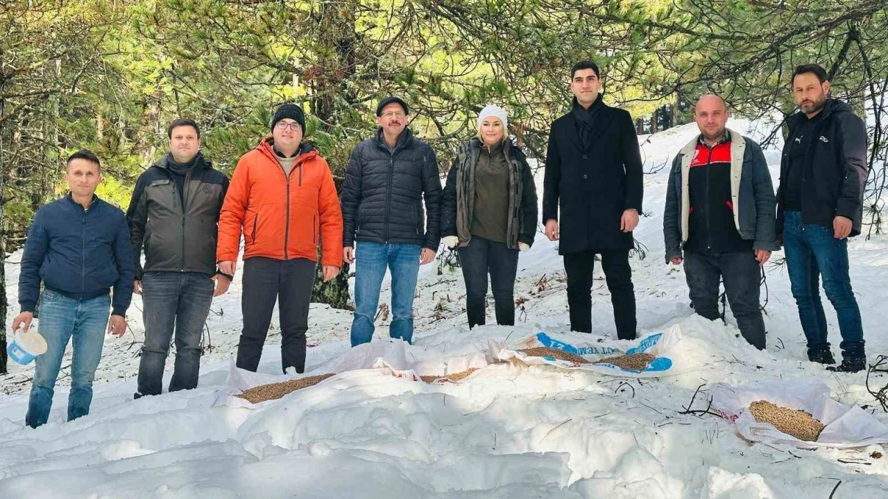 Balıkesir’de yaban hayvanları unutulmadı
