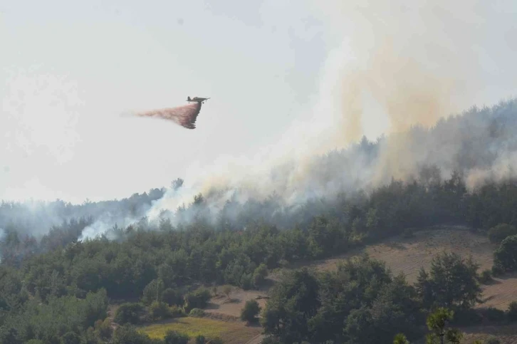 Balıkesir’de yangına havadan ve karadan müdahale sürüyor
