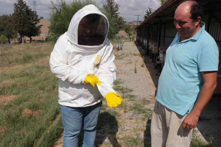 Balıkesir kraliçe arısı ile de meşhur olacak
