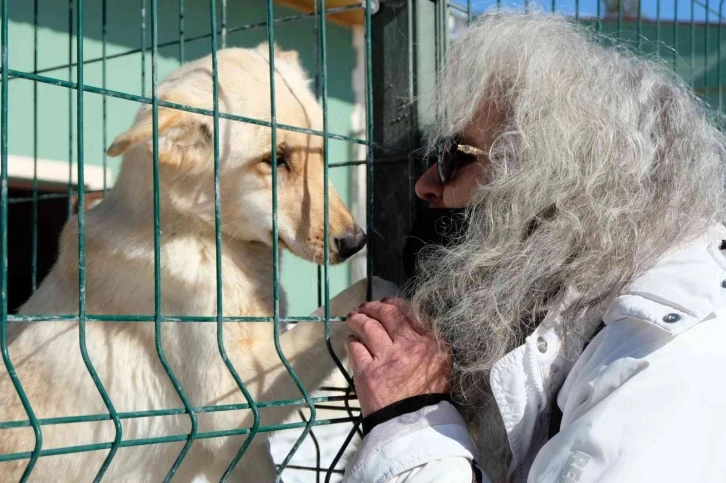 Barınaktaki yavru köpeklerin bakımsızlıktan öldüğü iddiası tepkilere neden oldu
