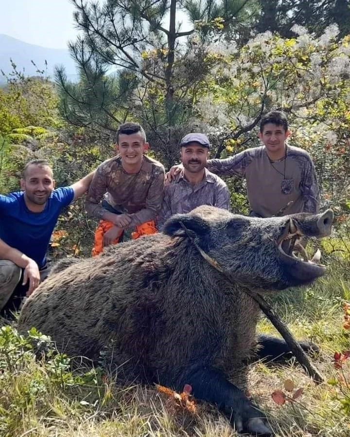 Bartın’da üreticinin domuz seferberliği
