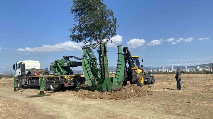 Başkan Aktaş’tan Hamitler’e Botanik Parkı müjdesi
