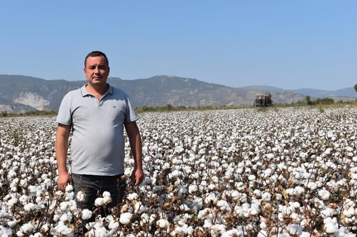 Başkan Çondur: “Fiyatlarla birlikte pamuk ekim alanları da arttı”
