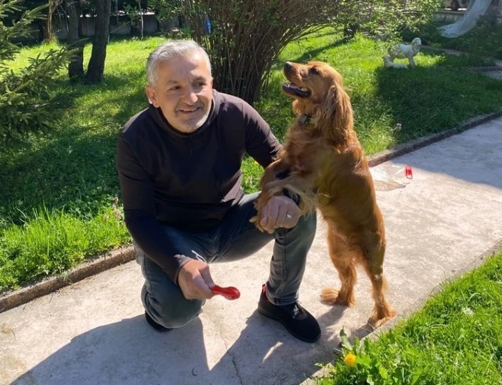 Başkan Karanfil: "Pandemide yalnızlığımızı gideren evcil hayvanlar, normalleşme sürecinde sokağa bırakıldı"
