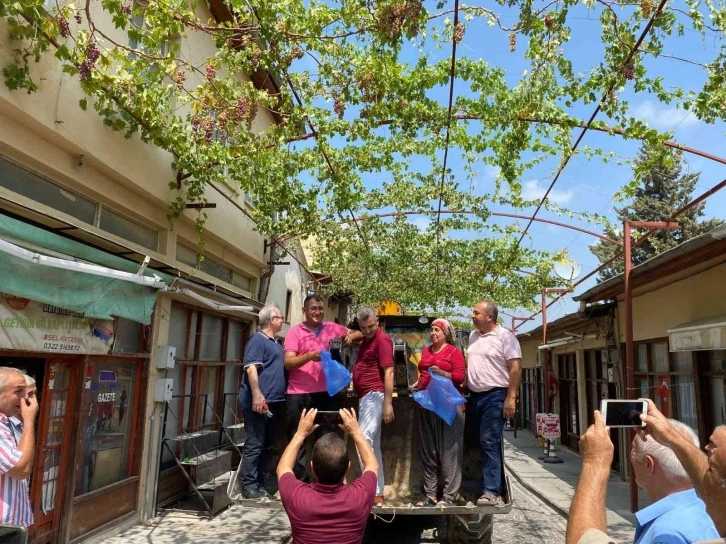 Başkan kepçe üstünde üzüm hasadı yaptı
