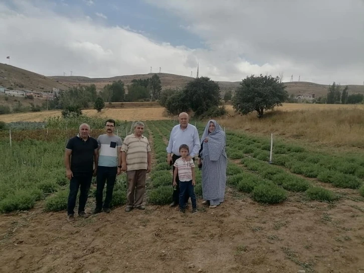 Başkan Pekmezci, üretim bahçelerinde incelemelerde bulundu
