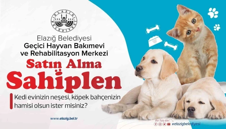 Başkan Şerifoğulları, “Şehrimizde yaşayan her canlının huzurunu tesis etmek bizlerin en asli görevidir”
