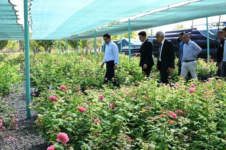 Başkan Taşkın: "Yeşil bir Battalgazi için üretiyoruz"
