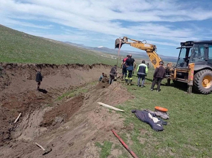 Bataklığa saplanan büyükbaş hayvan kurtarıldı
