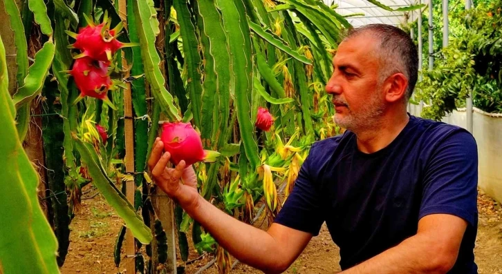 ’Batarsın’ diyenleri dinlemedi şimdi servet kazanıyor
