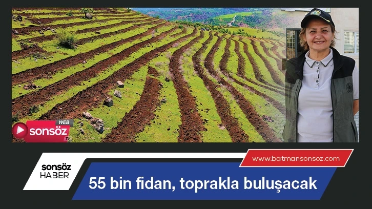 Batman'da 55 bin fidan, toprakla buluşacak