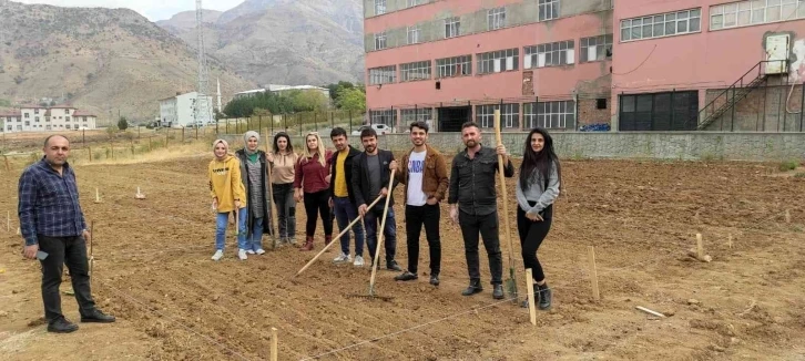 Batman’da Mereto Dağı eteklerinde ilk defa aspir bitkisi yetiştirilecek
