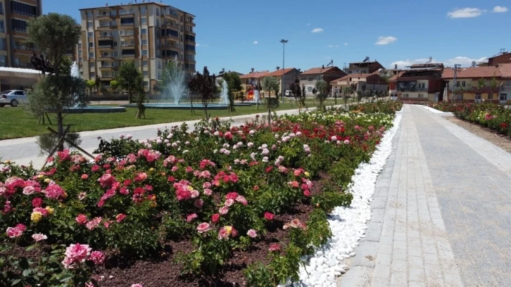 Battalgazi’deki gül bahçesinde sona yaklaşıldı
