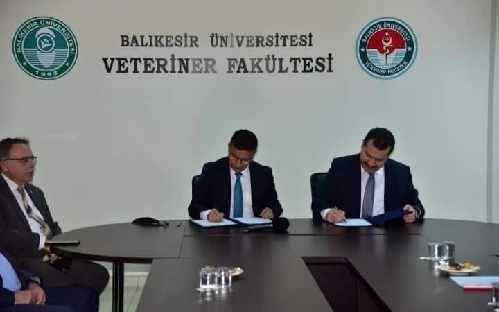 BAÜN’de "Damızlık Koç Üretim Merkezi" kuruluyor
