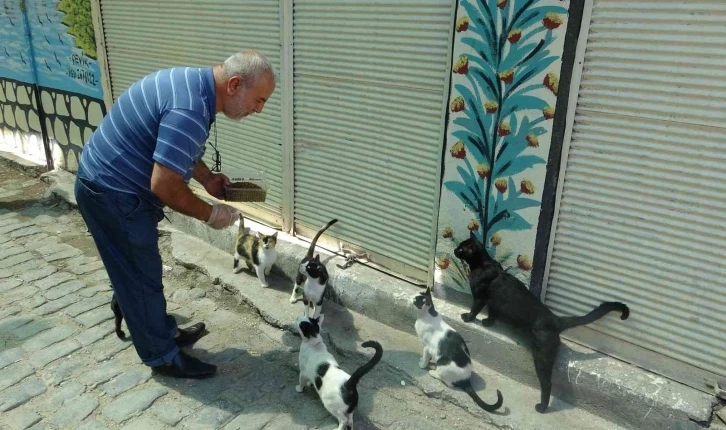 Bayram tatiline çıkan esnaf kepenk kapatınca sokak hayvanlarının yardımına koştu
