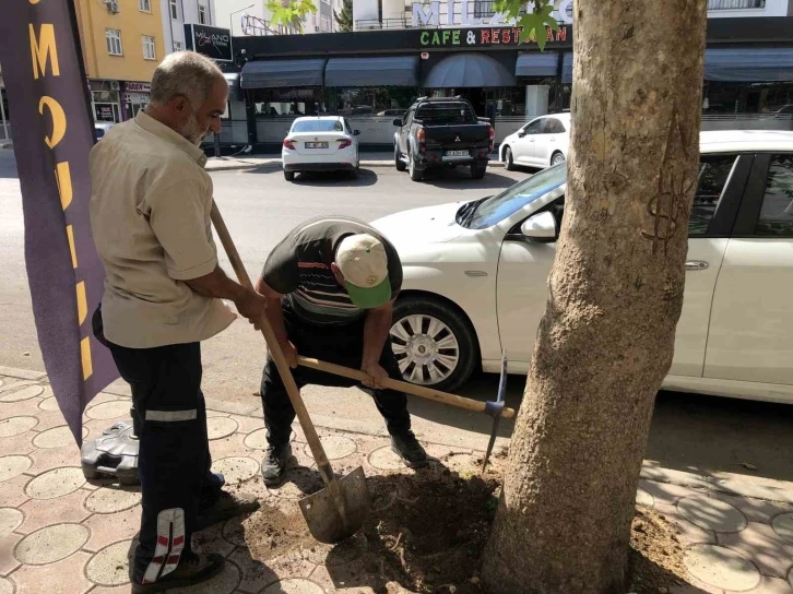 Begonviller ile Kozan daha güzel
