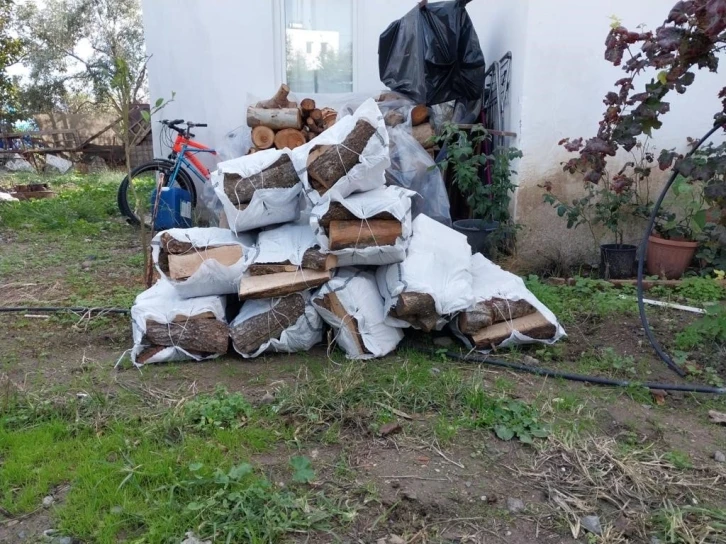 Belediyeden vatandaşlara yakacak desteği
