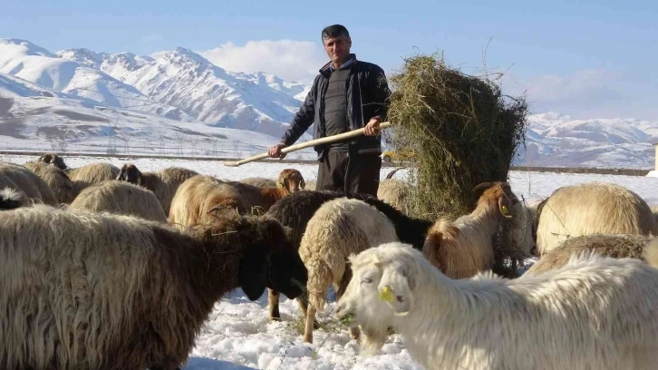 Besicilerin 6 ay süren kış mesaisi başladı
