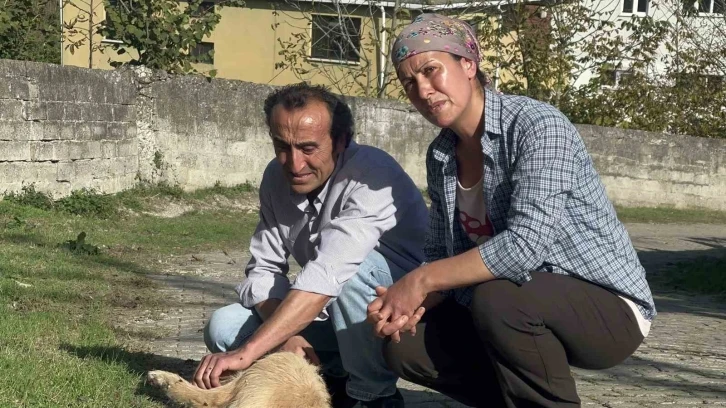 Beslediği köpeği darp edilerek öldürüldü
