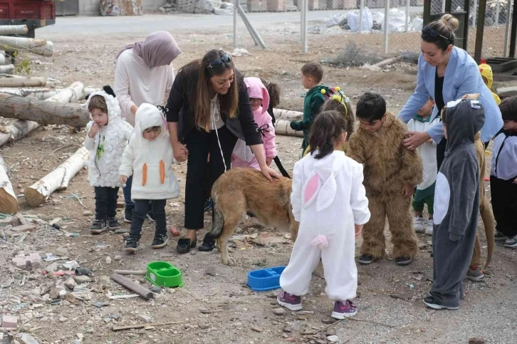 Beslenme noktalarındaki hayvanlara mama bıraktılar
