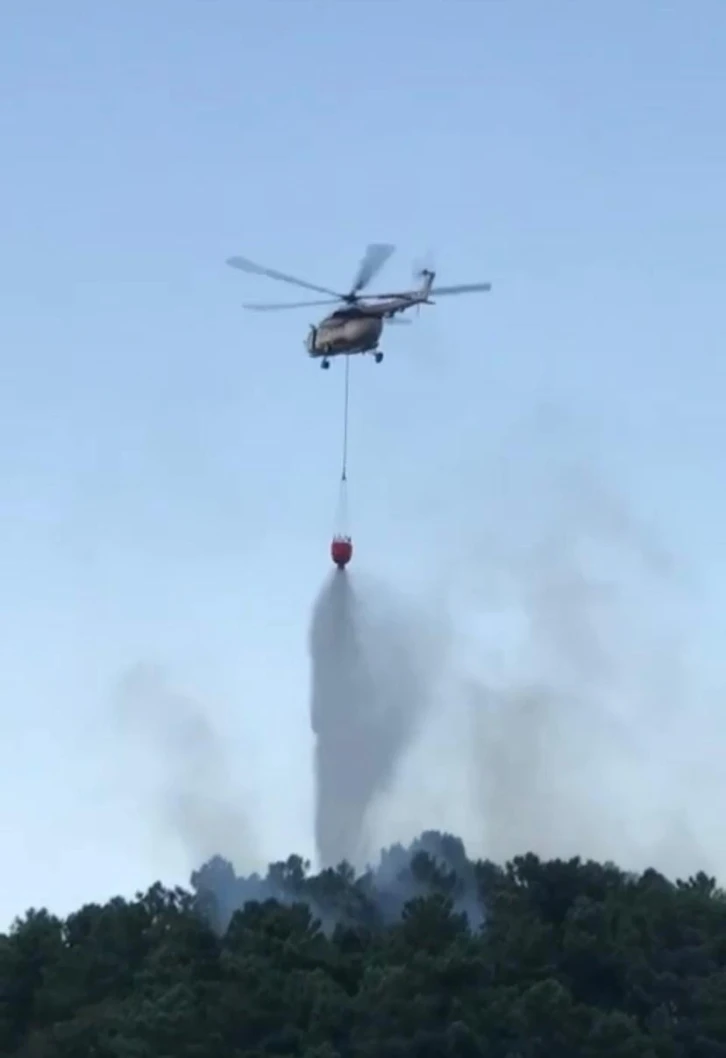 Beykoz’da korkutan orman yangını
