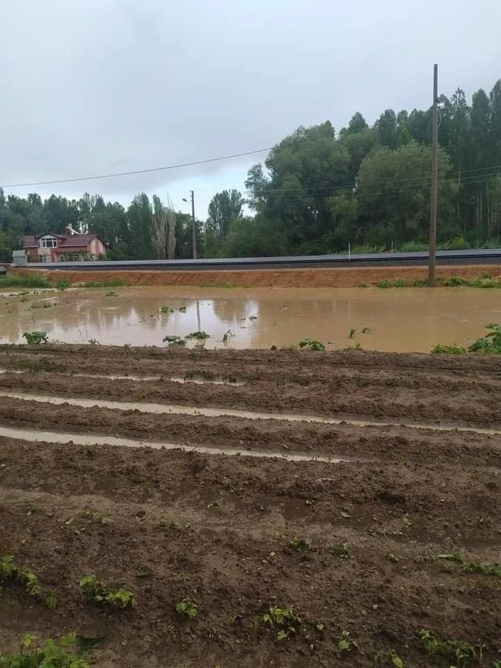 Beyşehir’de yağış çiftçinin yüzünü güldürdü
