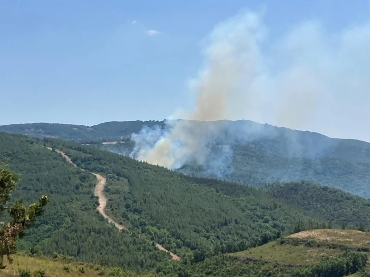 Biga’da çıkan orman yangını kontrol altına alındı
