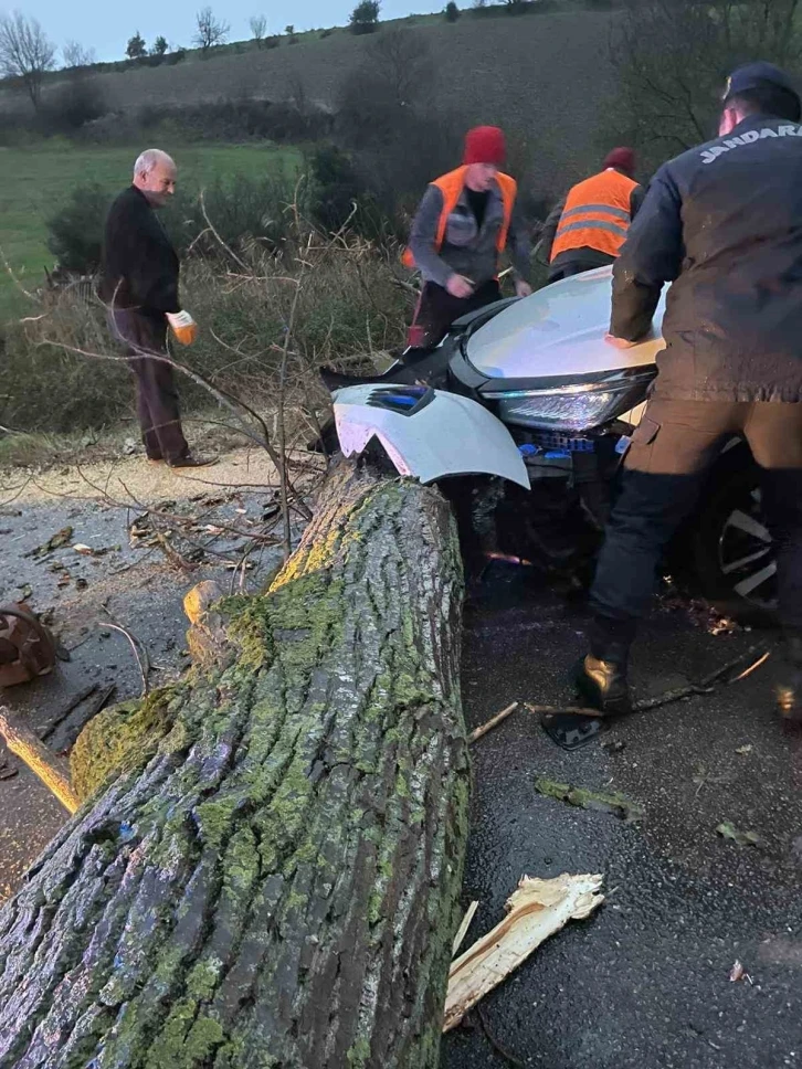 Biga’da otomobil fırtına nedeniyle yola devrilen ağaca çarptı
