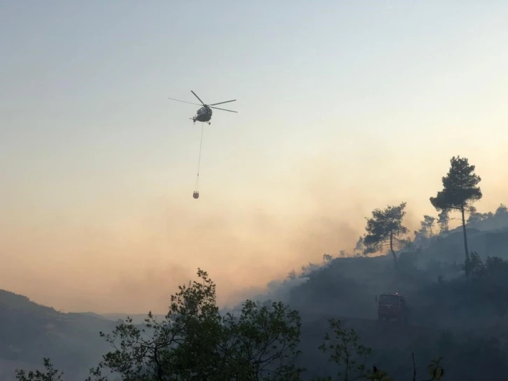 Bilecik’te korkutan orman yangını
