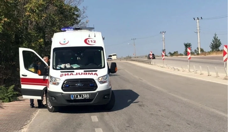 Bilecik’te trafik kazası, 1 yaralı
