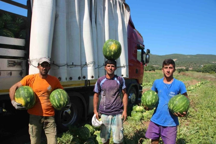 Bilecik’ten Ukrayna, Almanya ve Polonya’ya karpuz ihracatı
