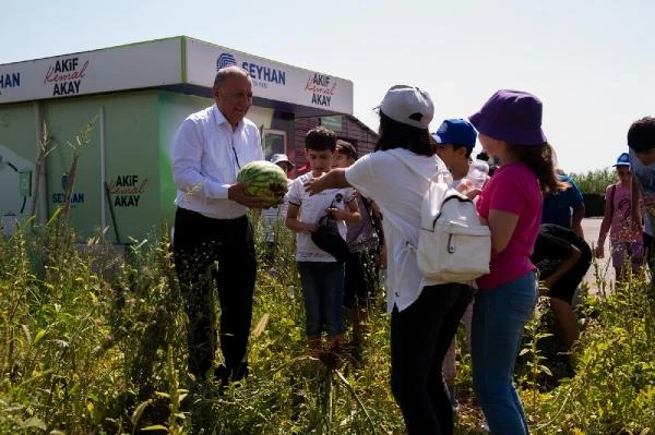 Bilgi Evi öğrencileri kompost tesisinde