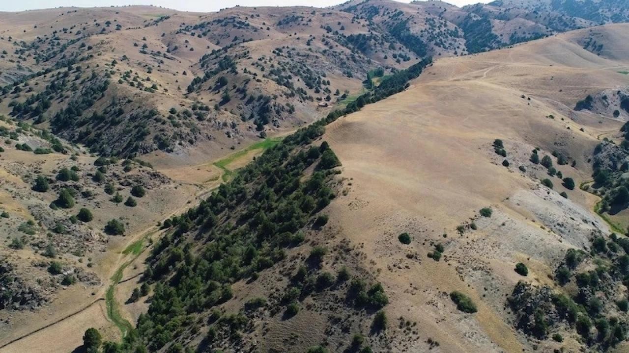 Bilim insanlarının İpek Yolu üzerindeki yeni keşifleri