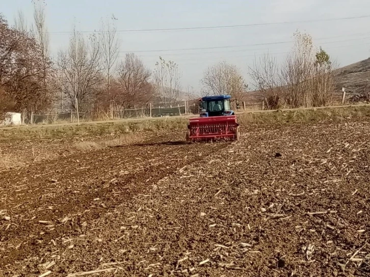 Bin yıllık ata tohumu ‘Karakılçık’ buğdayı toprakla buluştu
