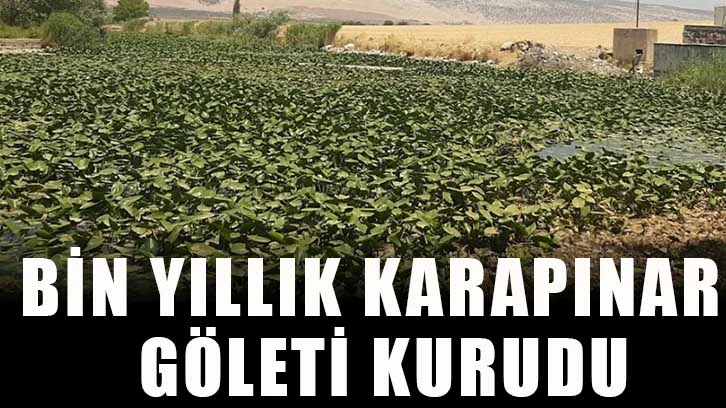 Bin Yıllık Karapınar Göleti kurudu