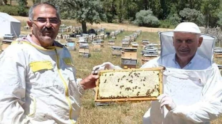 Binali Yıldırım, baba ocağı Erzincan'da bal hasadı yaptı