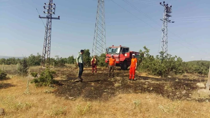 Bingöl’de çıkan orman yangını söndürüldü
