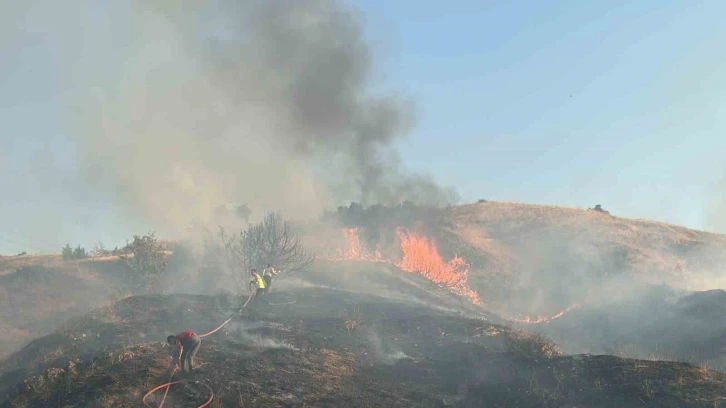 Bingöl’de iki bölgede çıkan orman yangını söndürüldü
