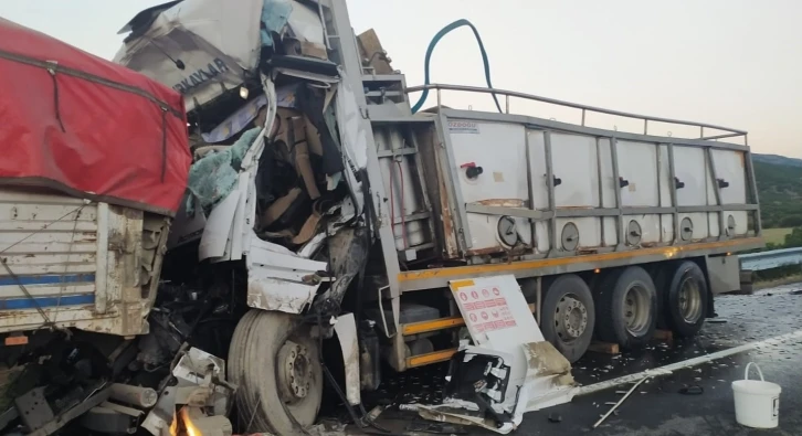 Bingöl’de trafik kazası: 1 ölü
