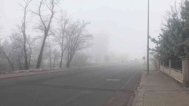 Bingöl’de yoğun sis etkili oldu
