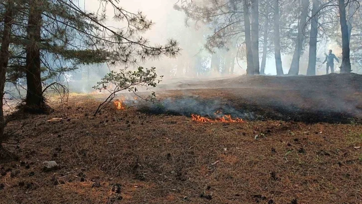 Bingöl’deki orman yangını büyümeden söndürüldü
