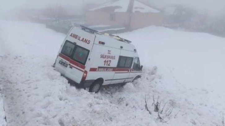 Bingöl'de ambulans şarampole devrildi: Yaralılar var