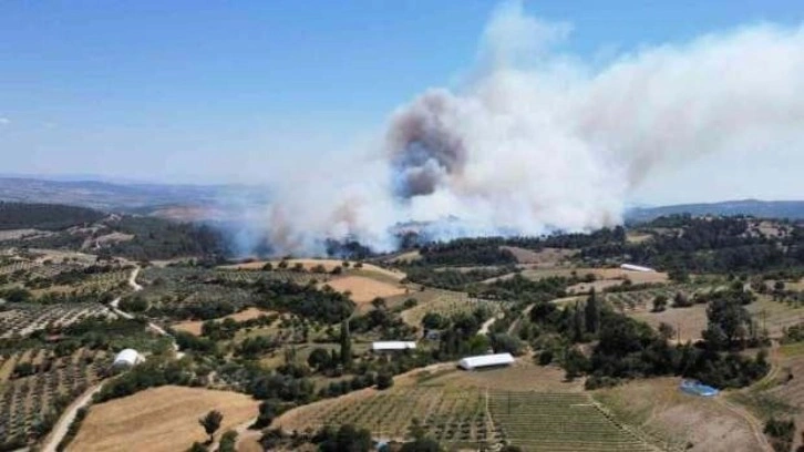 Bir buğday tarlasında daha yangın!