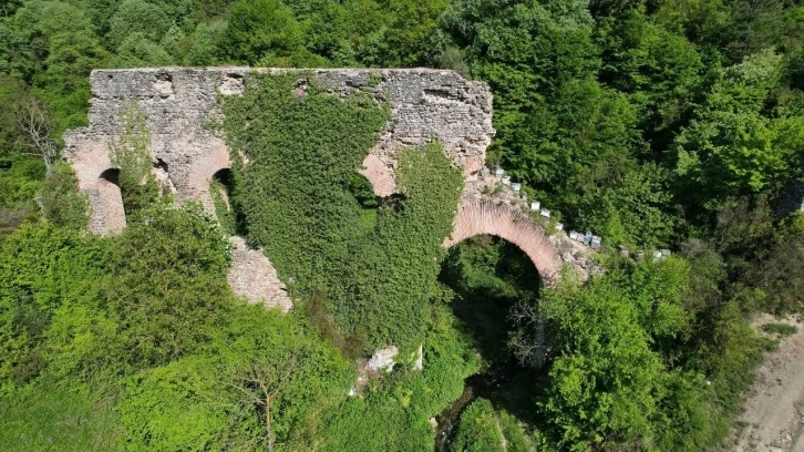 Bir kentin su ihtiyacını karşılıyordu, artık ormanın içinde kaldı
