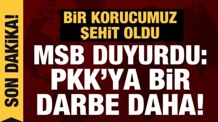 Bir korucumuz şehit oldu, Pençe-Kilit bölgesinde 7 terörist etkisiz hale getirildi