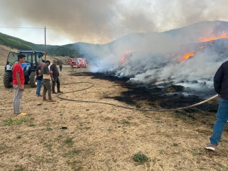 Bir yıllık emek kül oldu
