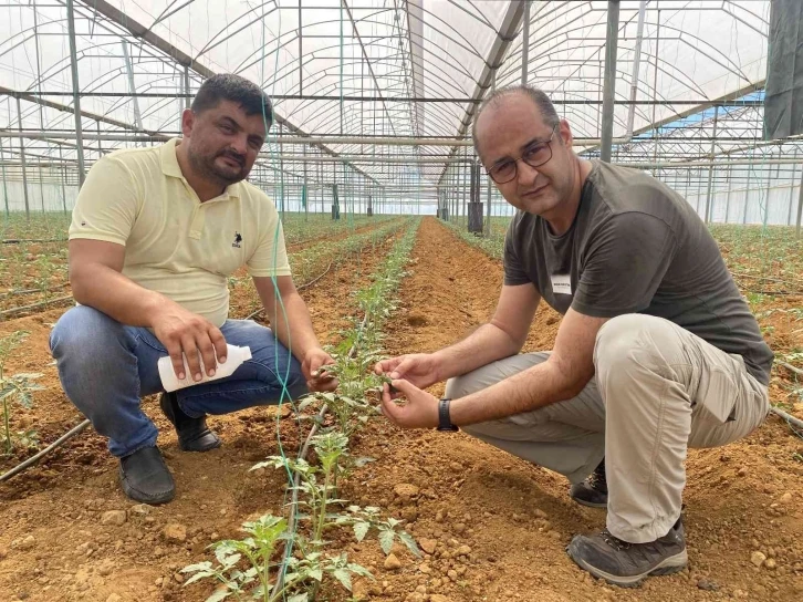 Biyolojik mücadeleyle üretilen ürünler daha sağlıklı
