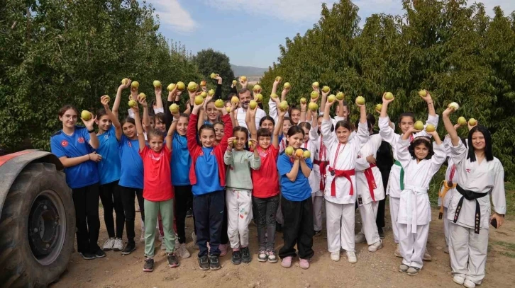 ’Bizim elimiz sadece armut toplamaya kalkar’
